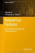 Natural gas hydrates: experimental techniques and their applications