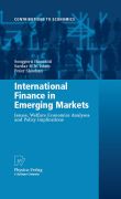 International finance in emerging markets: issues, welfare economics analyses and policy implications