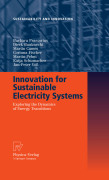 Innovation for sustainable electricity systems: exploring the dynamics of energy transitions
