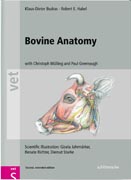 Bovine anatomy: an illustrated text