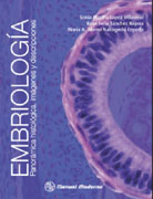 Embriología: Panorámica histológica, imágenes y descripciones