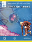 Morfología Humana