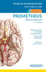 PROMETHEUS. Atlas de Anatomía: Fichas de autoevaluación 3 Cabeza y Cuello
