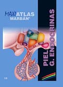 Maxi Atlas 10 Piel. Glándulas Endocrinas
