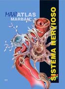 Maxi Atlas 11 Sistema Nervioso