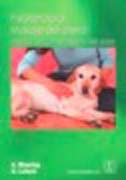 Fisioterapia: masaje del perro : mejora de la movilidad y del dolor