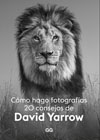 Cómo hago fotografías: 20 consejos de David Yarrow