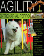 Agility: entrenar al perro