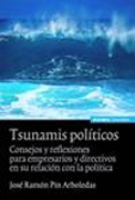 Tsunamis políticos: reflexiones y consejos para empresarios y directivos en su relación con la política