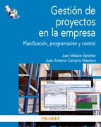 Gestión de proyectos en la empresa: Planificación, programación y control