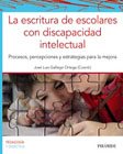 La escritura de escolares con discapacidad intelectual: Procesos, percepciones y estrategias para la mejora