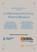 La organización local: nuevos modelos
