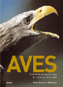 Aves: guía ilustrada de las aves de España y de Europa