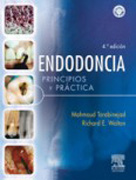 Endodoncia: principios y práctica