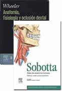 Lote anatomía Sobotta 6: Wheeler, anatomía, fisiología y oclusión dental. 9ª ed.; Sobotta, atlas de anatomía humana, 23ª ed. vol. 3
