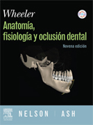 Wheeler, anatomía, fisiología y oclusión dental