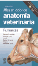 Atlas en color de anatomía veterinaria: rumiantes