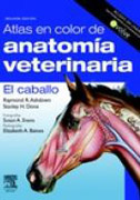 Atlas en color de anatomía veterinaria: el caballo