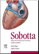 Sobotta. Atlas de anatomía humana Vol. 2 Órganos internos