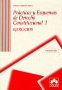 Prácticas y esquemas de derecho constitucional v. I