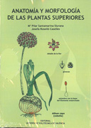 Anatomía y morfología de las plantas superiores
