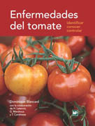 Enfermedades del tomate: identificar, conocer, controlar