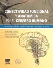 Conectividad funcional y anatómica en el cerebro humano: análisis de señales y aplicaciones en ciencias de la salud