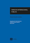 Derecho Internacional Público: Síntesis de teoría y práctica