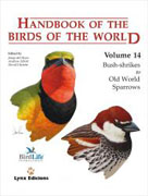 Handbook of the birds of the world v. 14 Bush-shrikes to old world sparrows