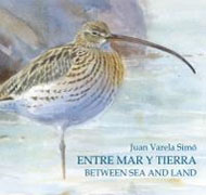 Entre mar y tierra - between sea and land: las marismas del sur