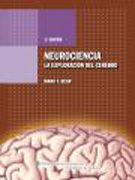 Neurociencia: la exploración del cerebro