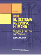 El sistema nervioso humano: una perspectiva anatómica