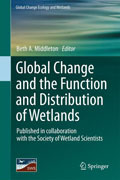 Global change and the function and distribution of wetlands